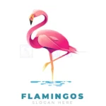 flamingos gradient logo