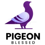 pigeon gradient logo