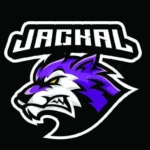 wolf head mascot esport gaming logo (1)